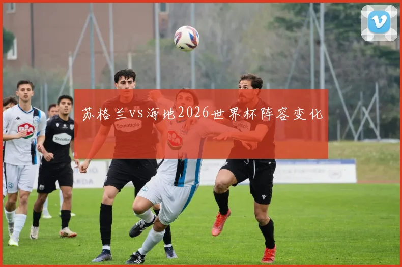 苏格兰vs海地2026世界杯阵容变化
