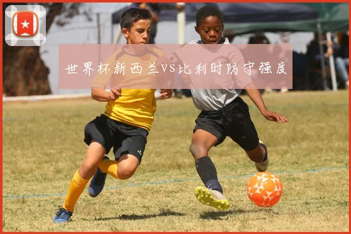 世界杯新西兰vs比利时防守强度